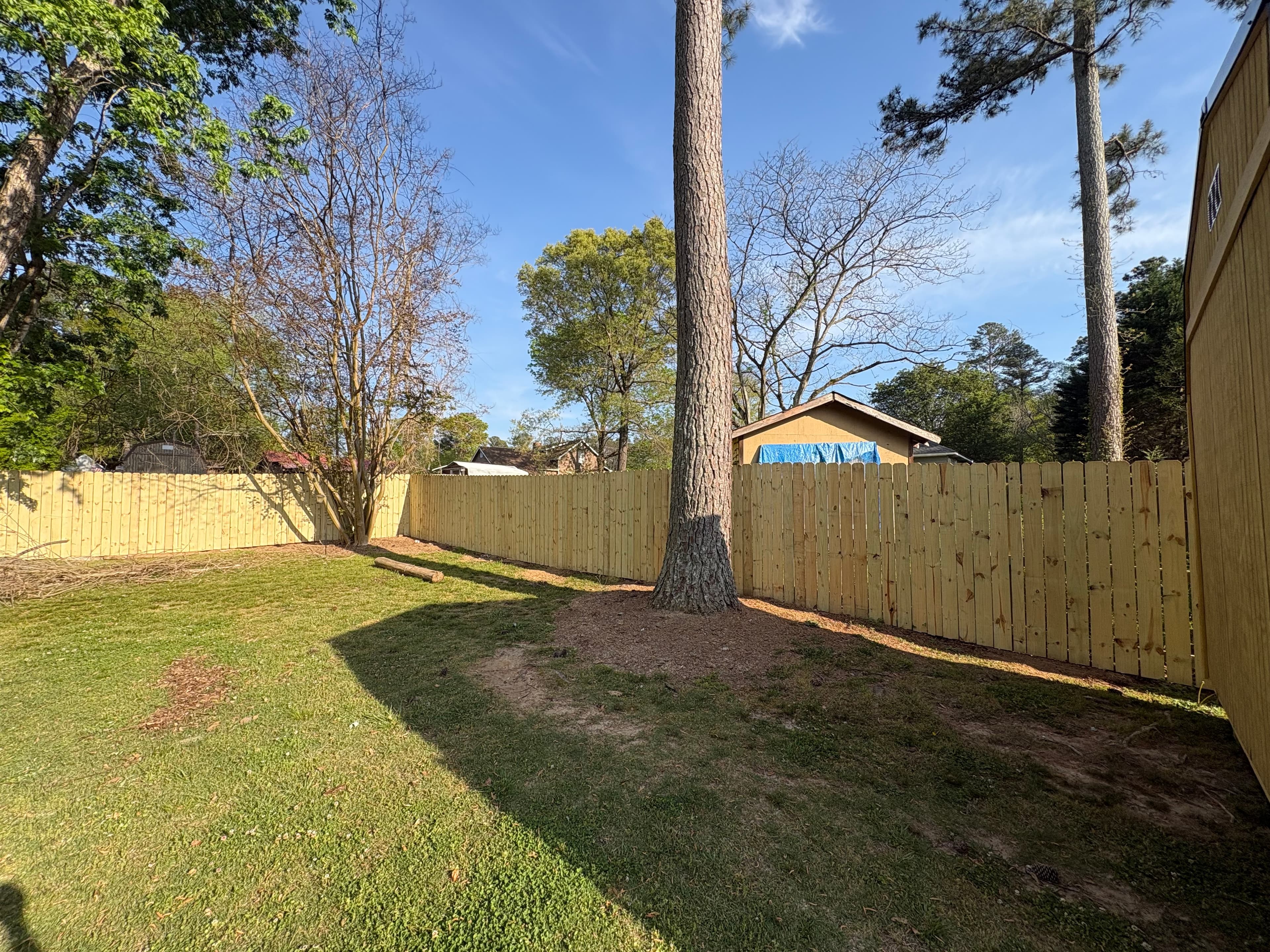 A new wooden privacy fence surrounds a grassy backyard with a tall pine tree.